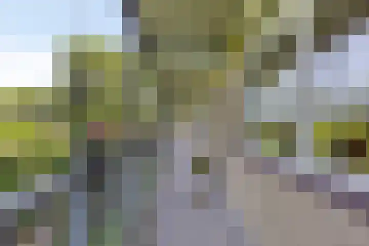 Cort van der Lindenlaan 5 Pijnacker thumbnail 14