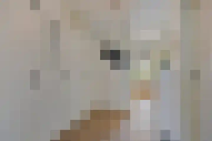 Cort van der Lindenlaan 5 Pijnacker thumbnail 17