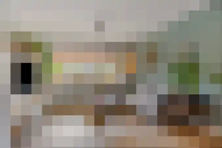 Cort van der Lindenlaan 5 Pijnacker thumbnail 19