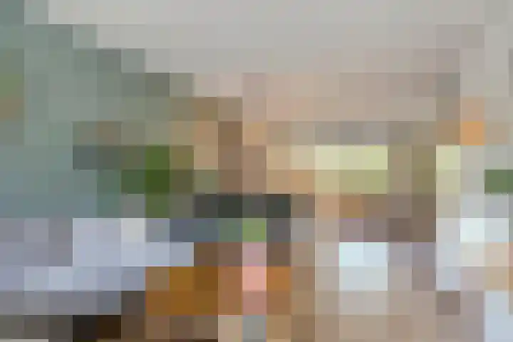 Cort van der Lindenlaan 5 Pijnacker thumbnail 20