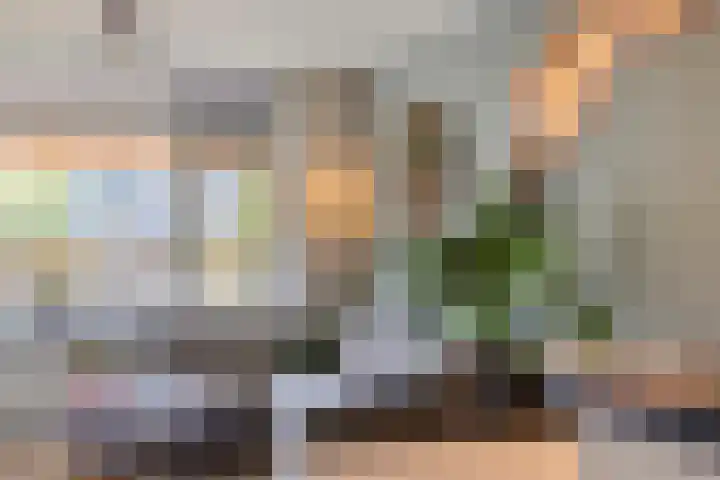 Cort van der Lindenlaan 5 Pijnacker thumbnail 21