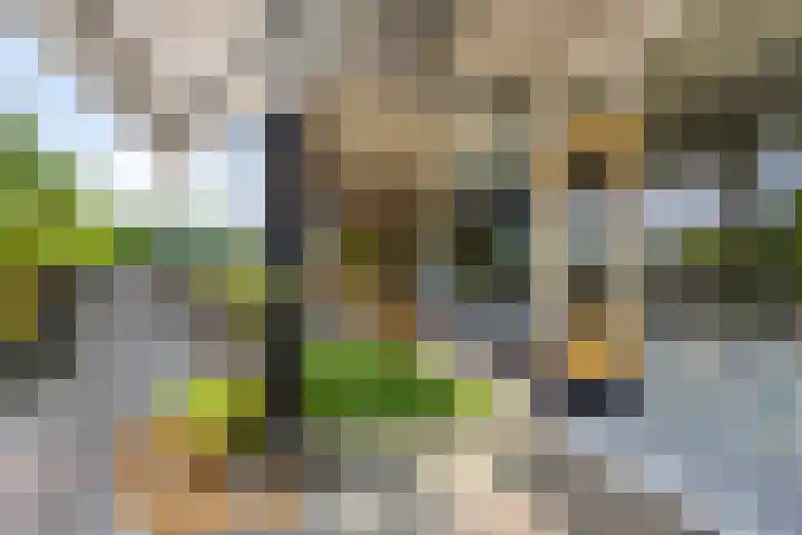 Cort van der Lindenlaan 5 Pijnacker thumbnail 35