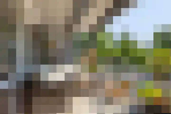 Cort van der Lindenlaan 5 Pijnacker thumbnail 36