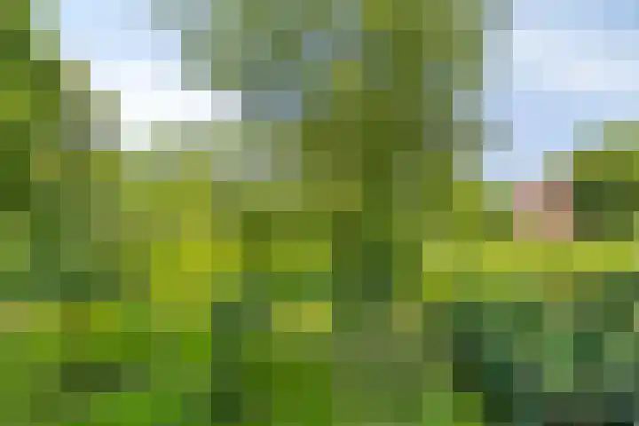 Cort van der Lindenlaan 5 Pijnacker thumbnail 37