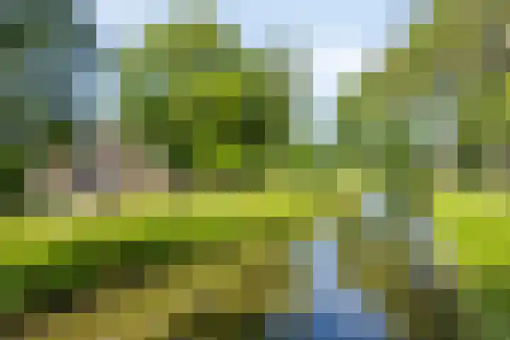 Cort van der Lindenlaan 5 Pijnacker thumbnail 39