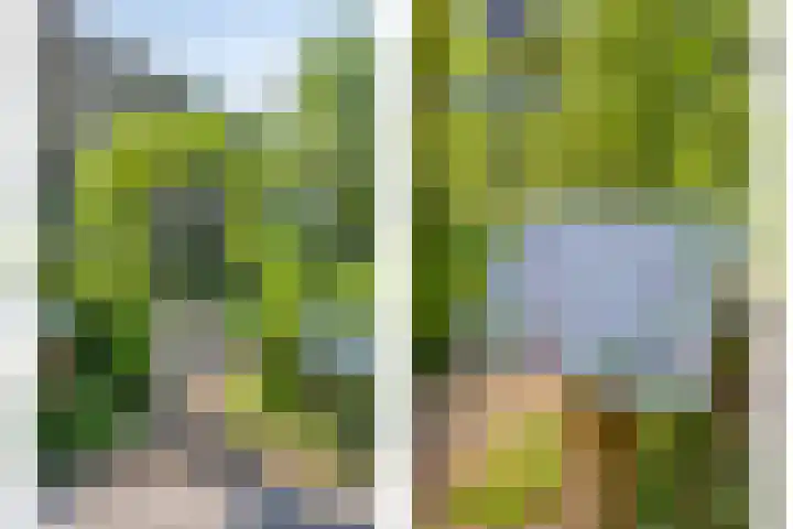 Cort van der Lindenlaan 5 Pijnacker thumbnail 40
