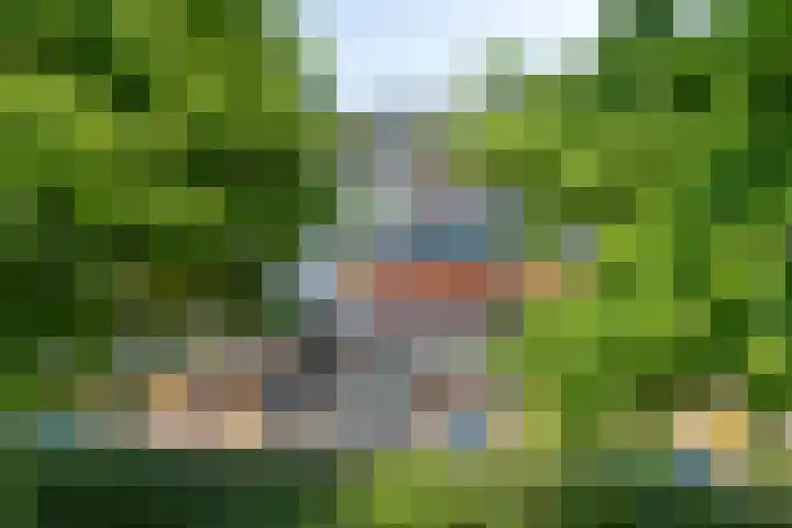 Cort van der Lindenlaan 5 Pijnacker thumbnail 5