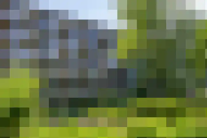 Cort van der Lindenlaan 5 Pijnacker thumbnail 9