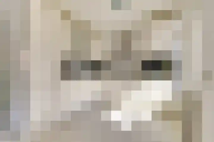 Cort van der Lindenlaan 7 Baarn thumbnail 10