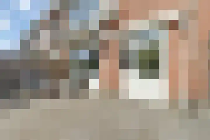 Cort van der Lindenlaan 7 Baarn thumbnail 26