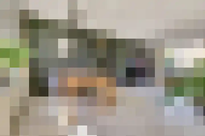 Cort van der Lindenlaan 7 Baarn thumbnail 8