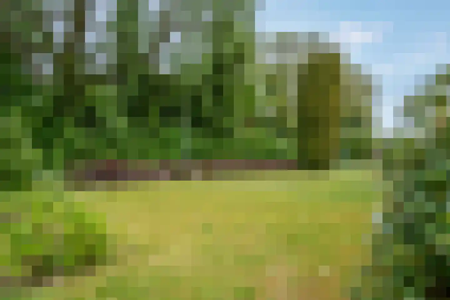 Cort van der Lindenlaan 7 Groningen thumbnail 13
