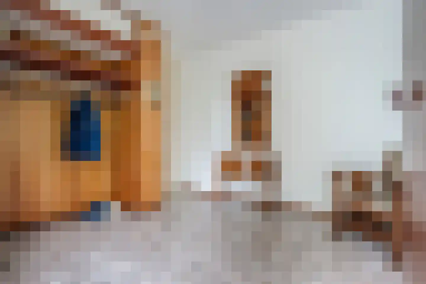 Cort van der Lindenlaan 7 Groningen thumbnail 18