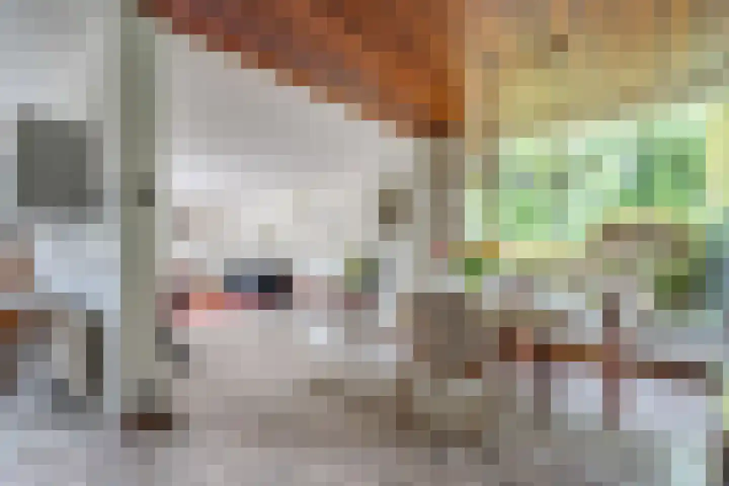 Cort van der Lindenlaan 7 Groningen thumbnail 20
