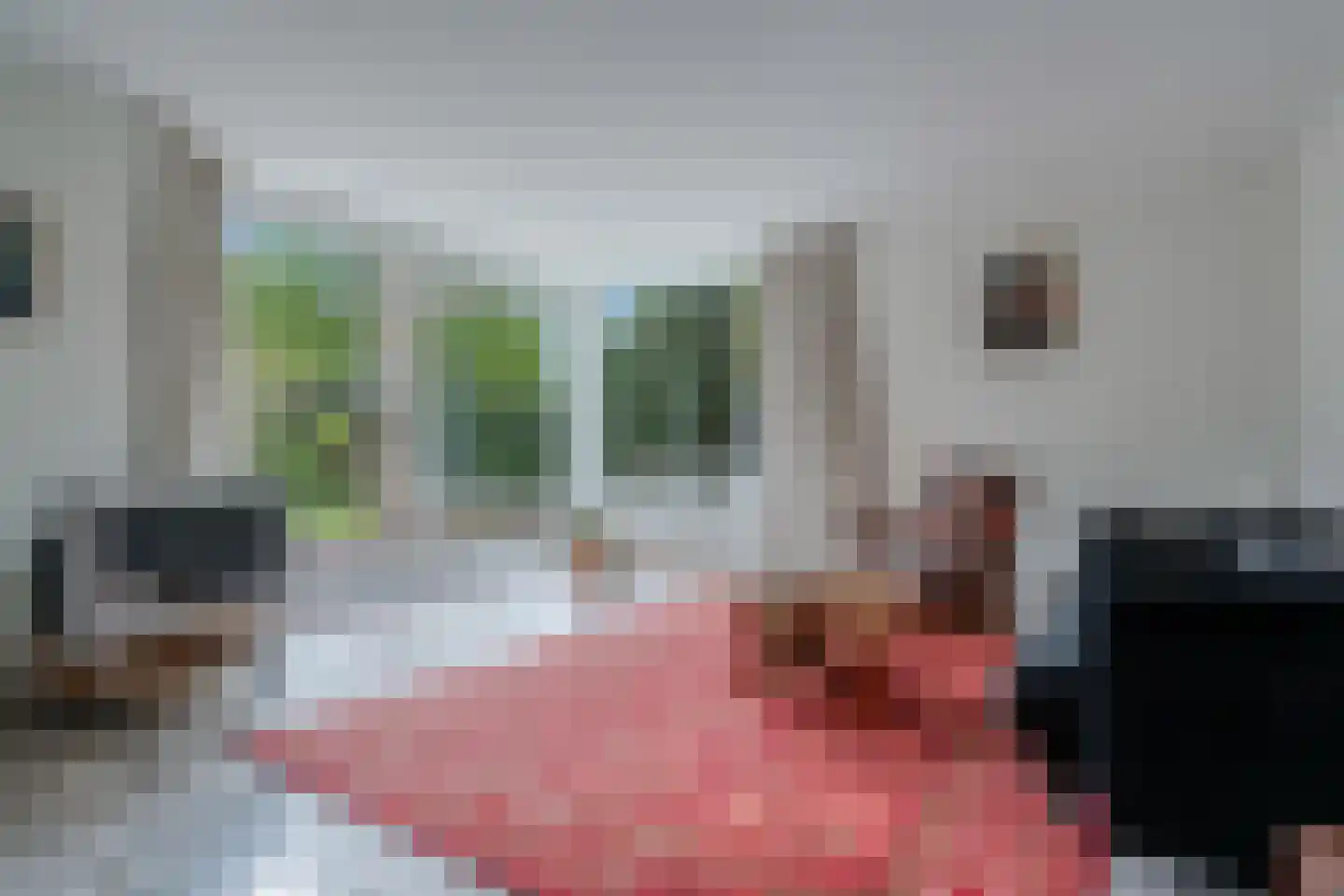 Cort van der Lindenlaan 7 Groningen thumbnail 22