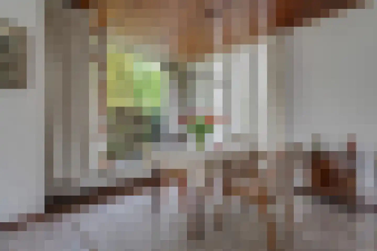 Cort van der Lindenlaan 7 Groningen thumbnail 26