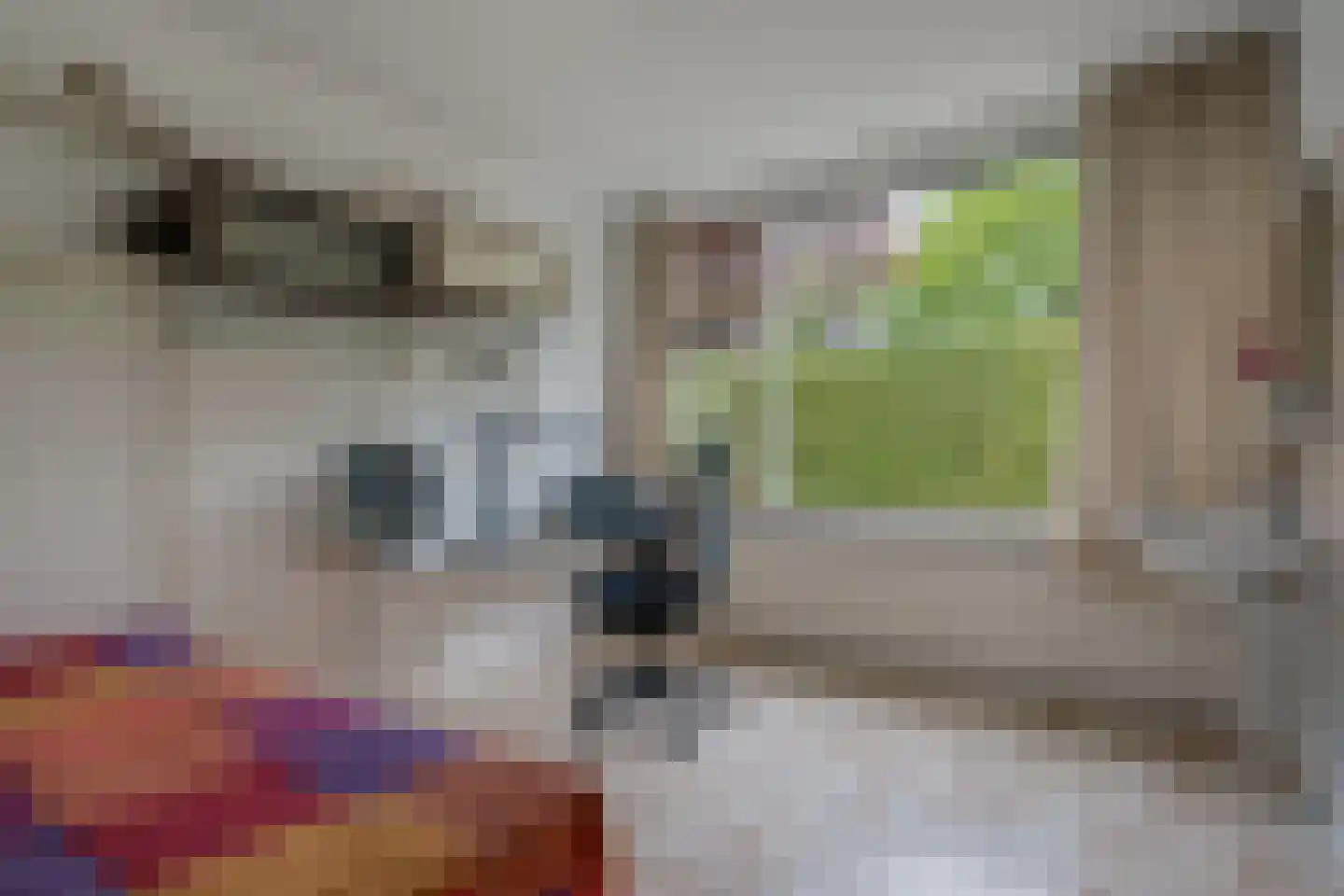 Cort van der Lindenlaan 7 Groningen thumbnail 36