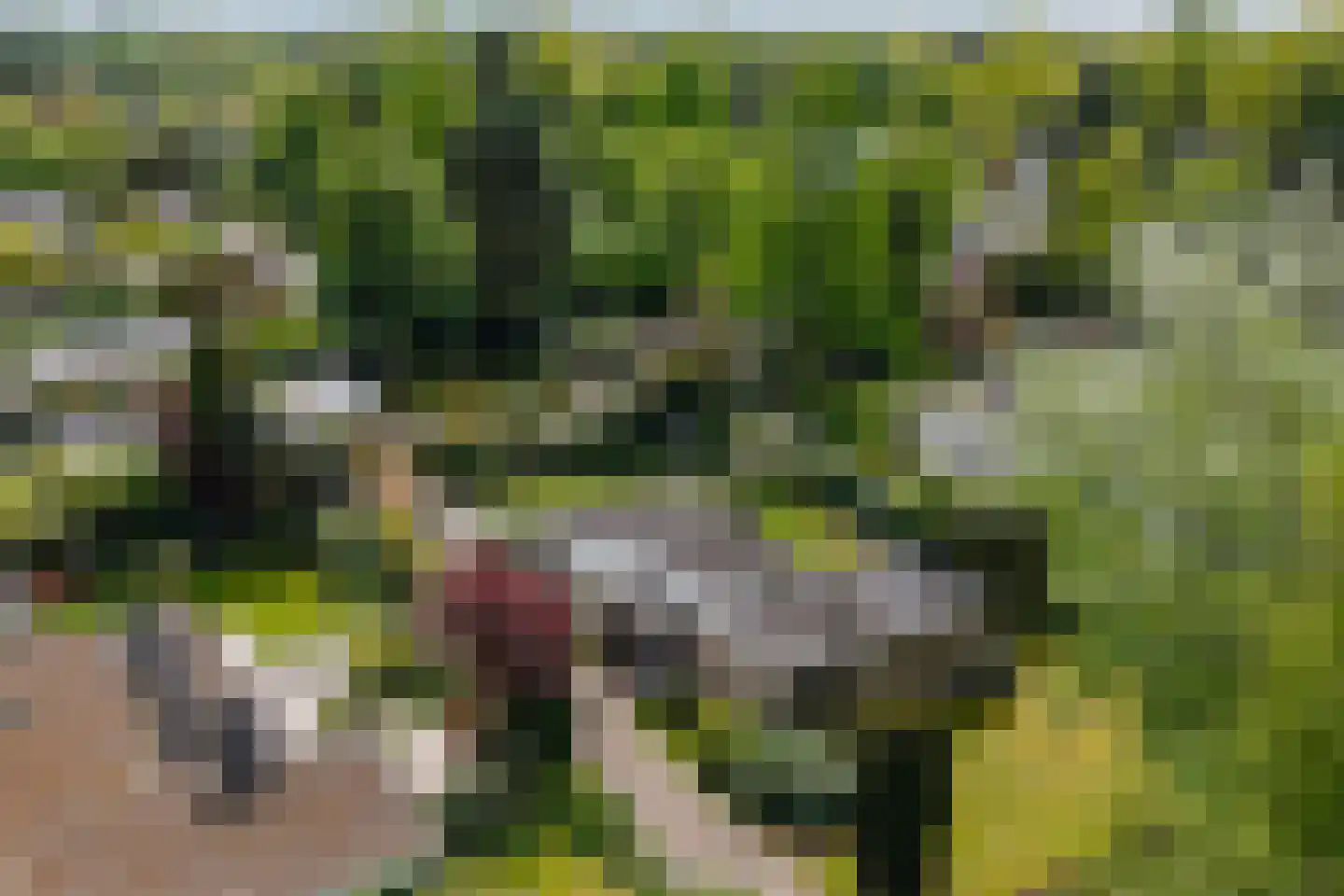 Cort van der Lindenlaan 7 Groningen thumbnail 64