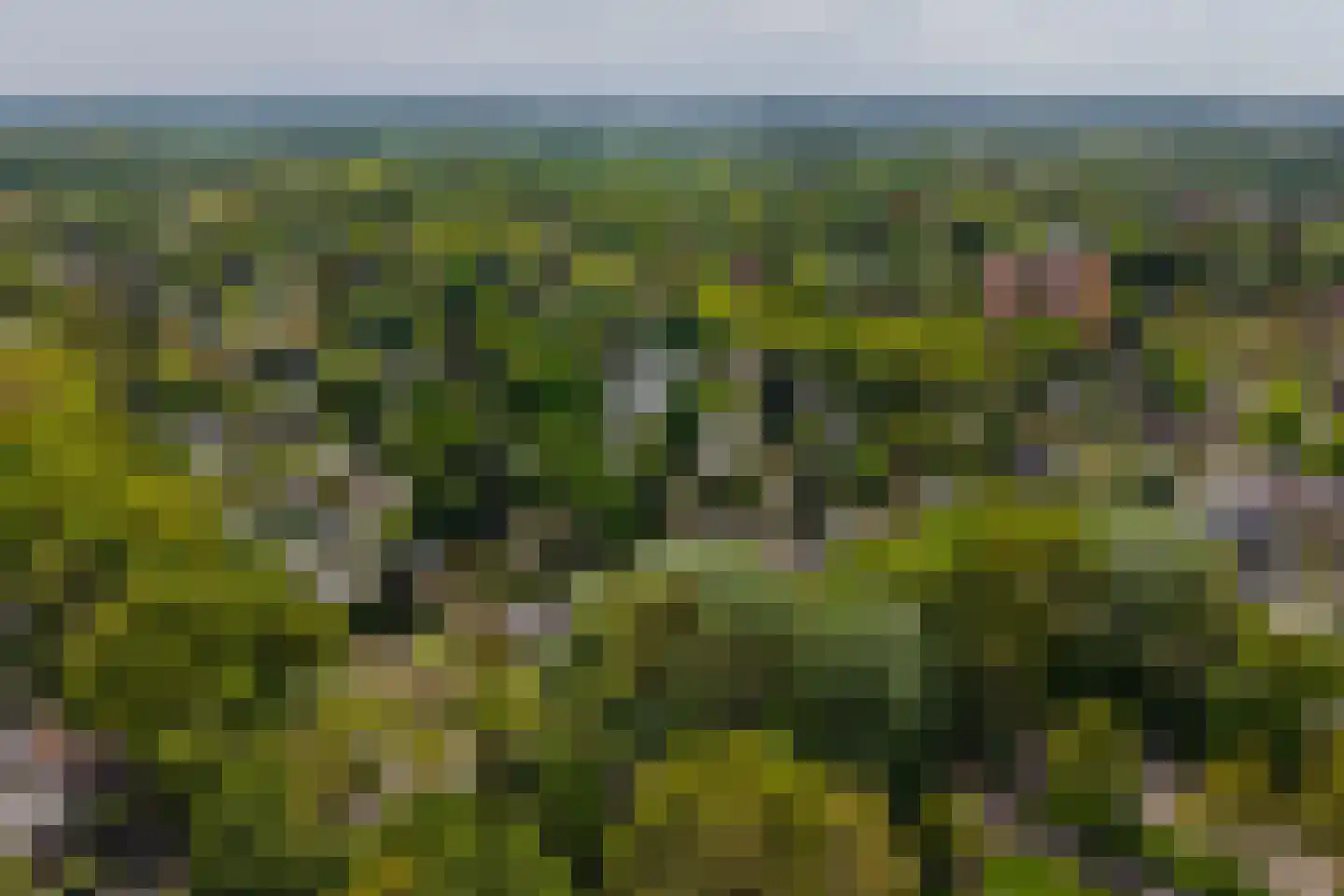Cort van der Lindenlaan 7 Groningen thumbnail 65