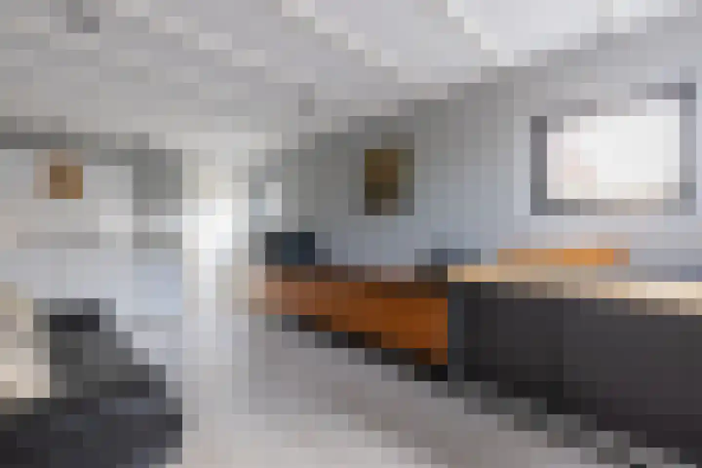 Cort van der Lindenlaan 84 Naarden thumbnail 42