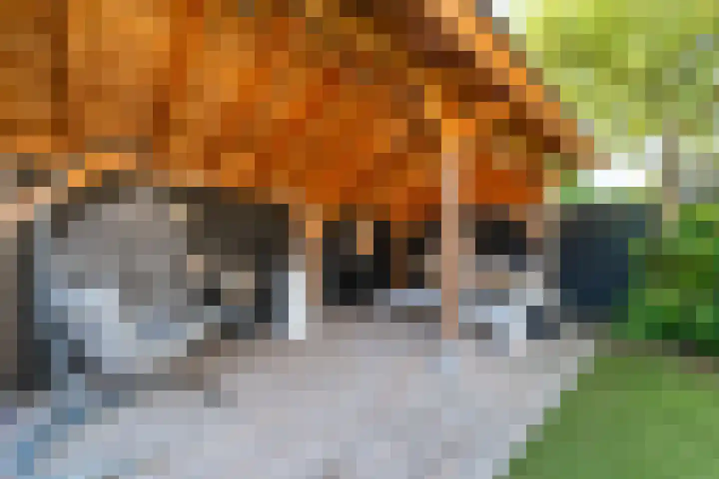 Cort van der Lindenlaan 84 Naarden thumbnail 45