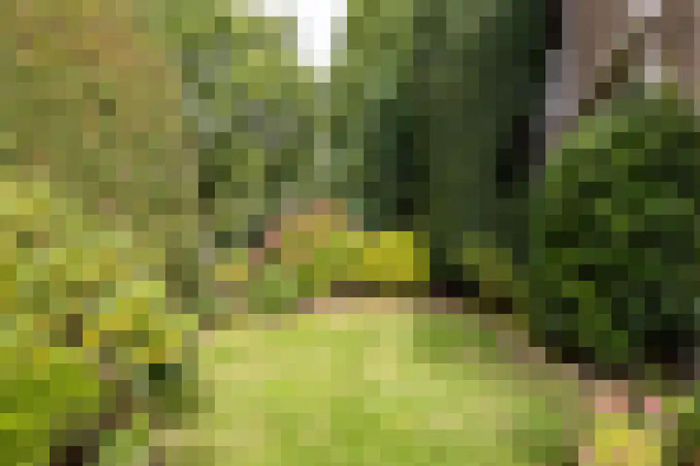 Cort van der Lindenlaan 94 Naarden thumbnail 6