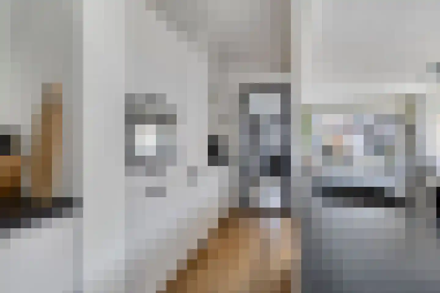 Cort van der Lindenstraat 1 Gouda thumbnail 15