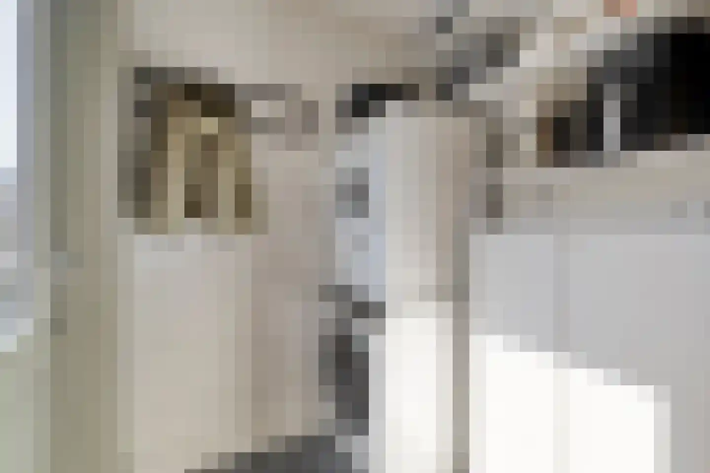 Cort van der Lindenstraat 1 Gouda thumbnail 18
