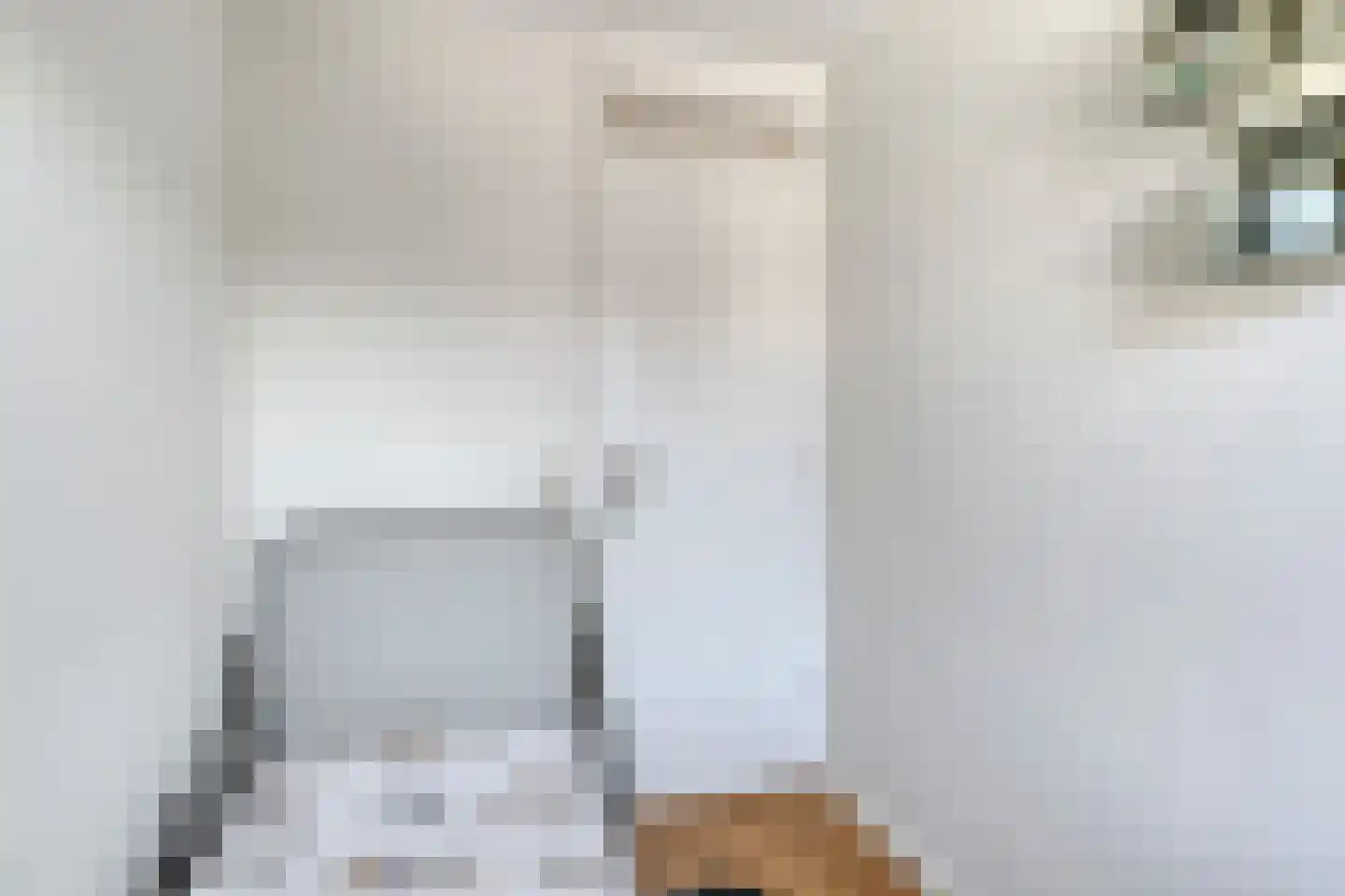 Cort van der Lindenstraat 1 Gouda thumbnail 33
