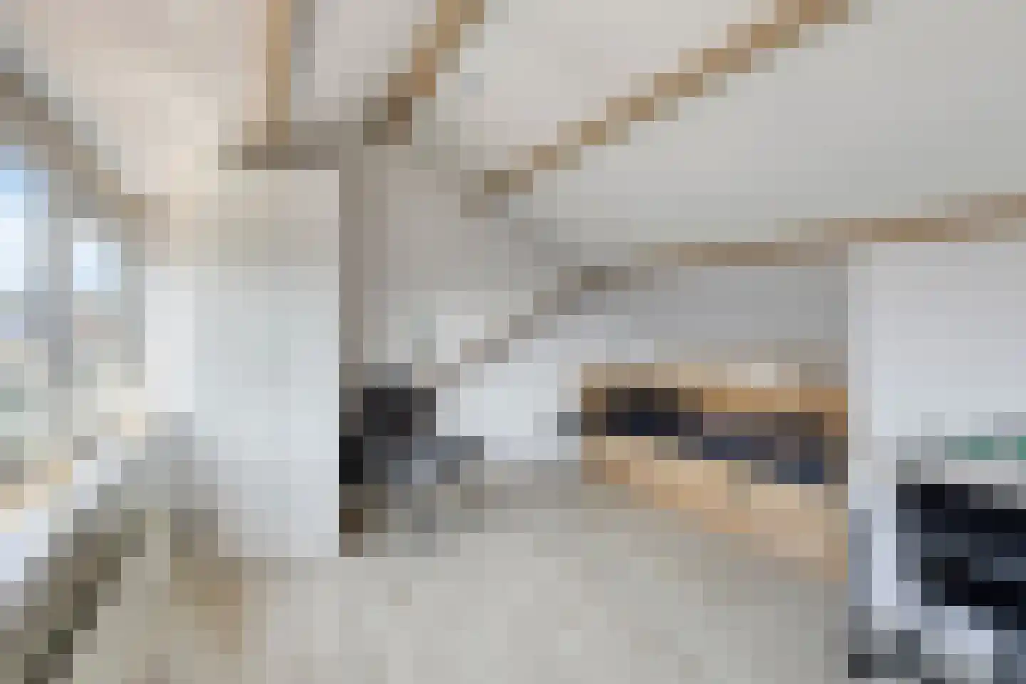 Cort van der Lindenstraat 1 Gouda thumbnail 35