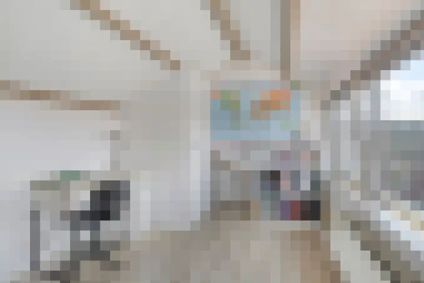 Cort van der Lindenstraat 1 Gouda thumbnail 36