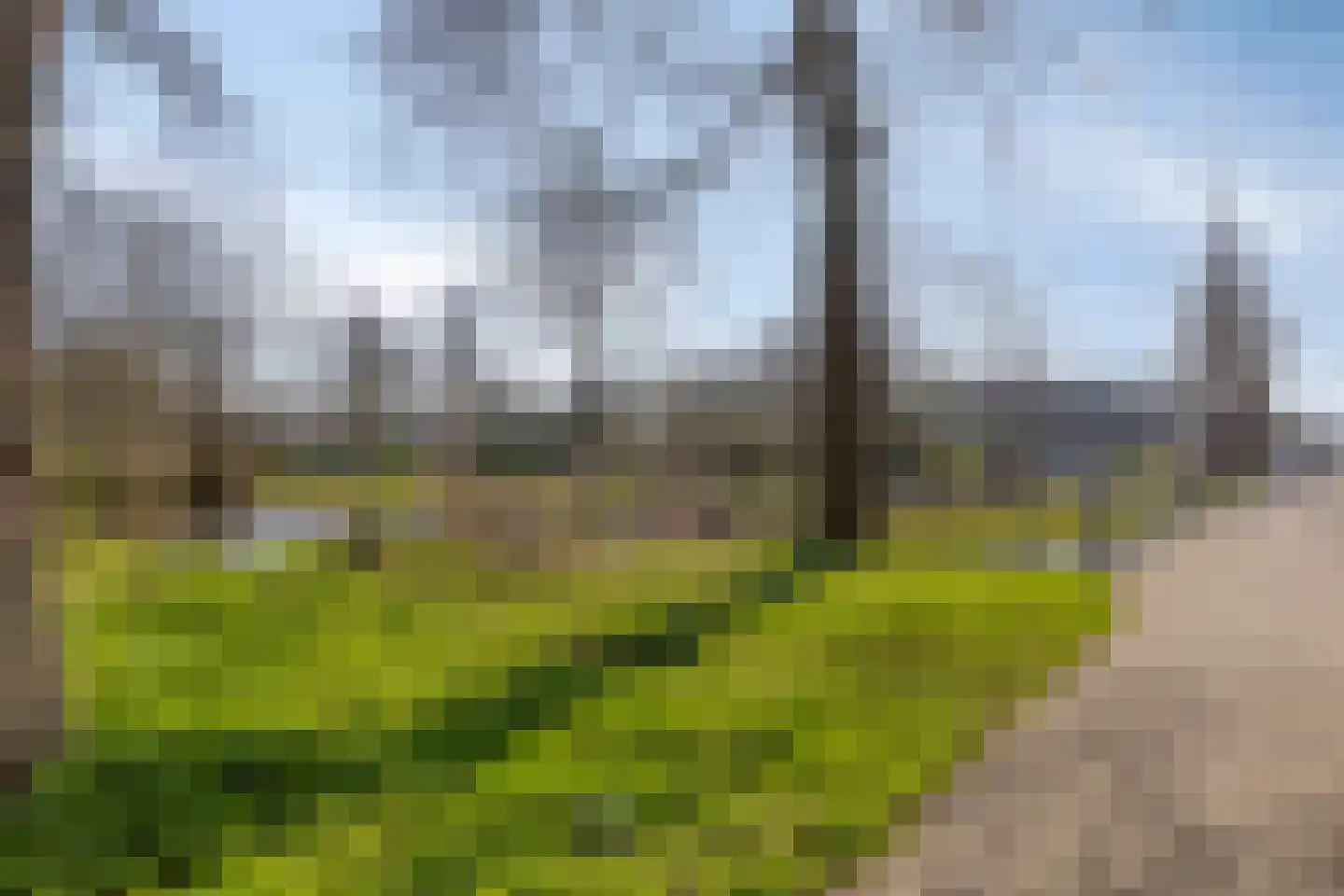Cort van der Lindenstraat 1 Gouda thumbnail 38