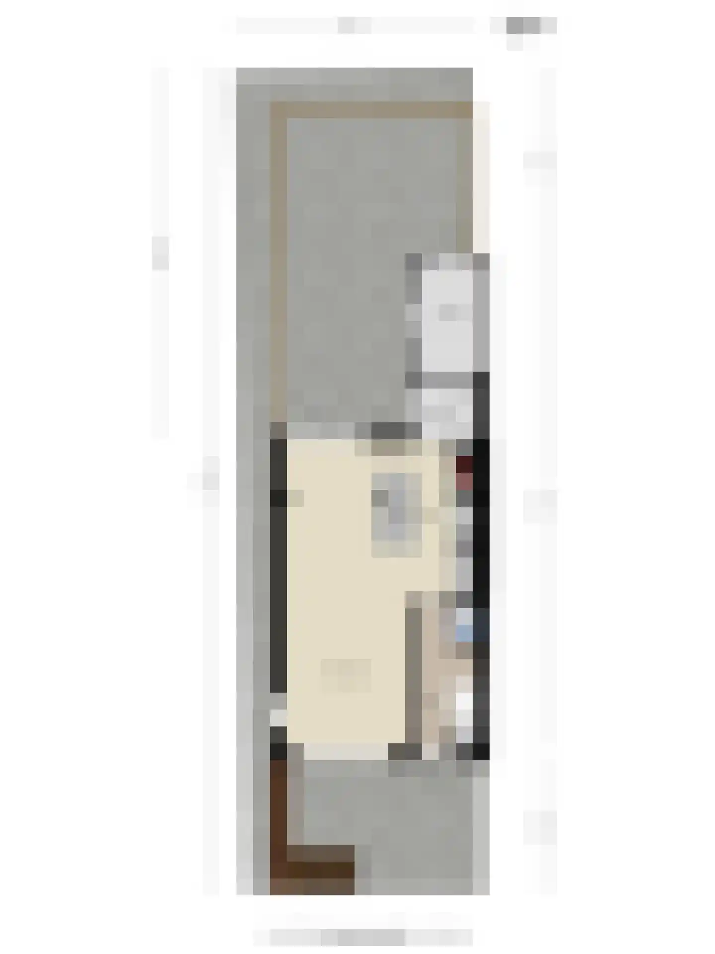Cort van der Lindenstraat 1 Gouda thumbnail 46