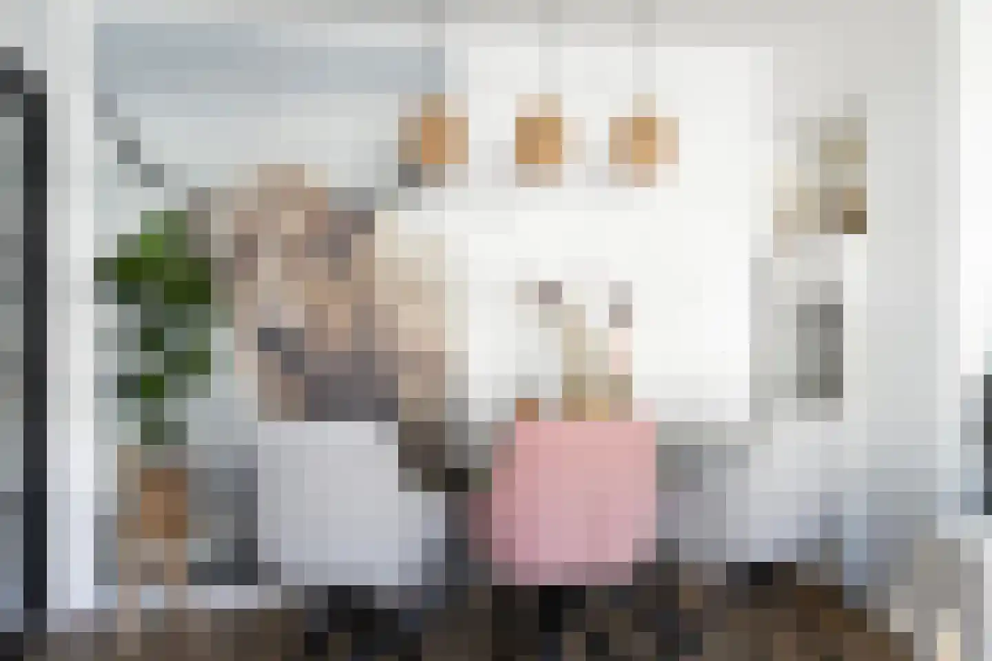 Cort van der Lindenstraat 10 Apeldoorn thumbnail 11