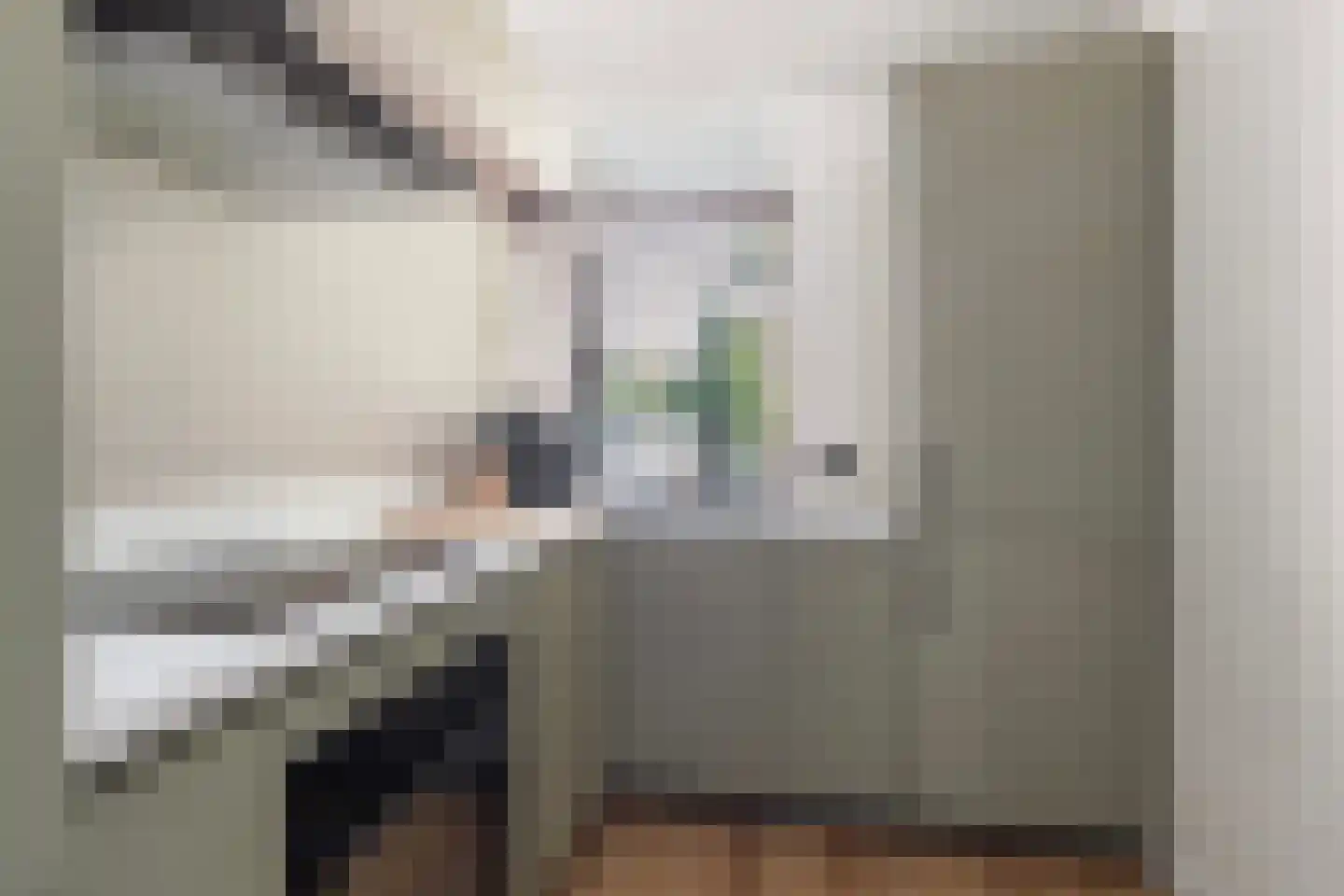 Cort van der Lindenstraat 10 Apeldoorn thumbnail 13