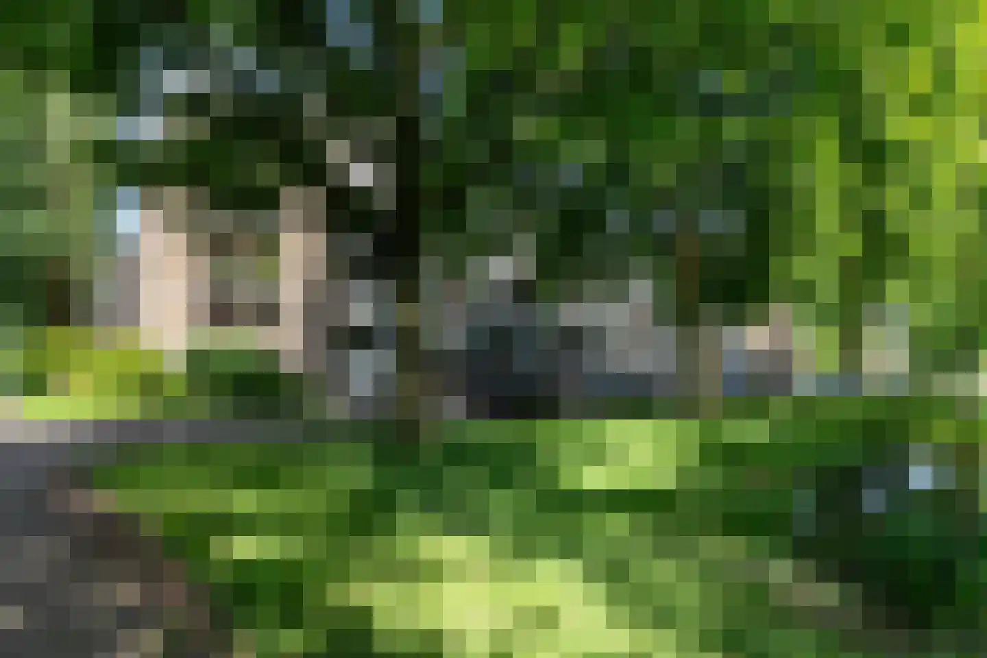 Cort van der Lindenstraat 10 Apeldoorn thumbnail 25