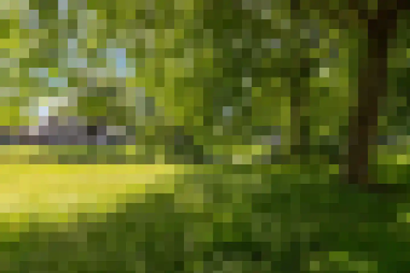 Cort van der Lindenstraat 10 Apeldoorn thumbnail 28