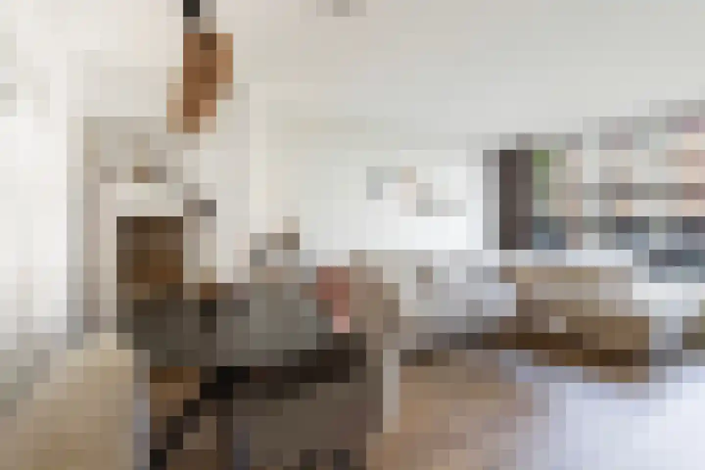 Cort van der Lindenstraat 10 Apeldoorn thumbnail 8