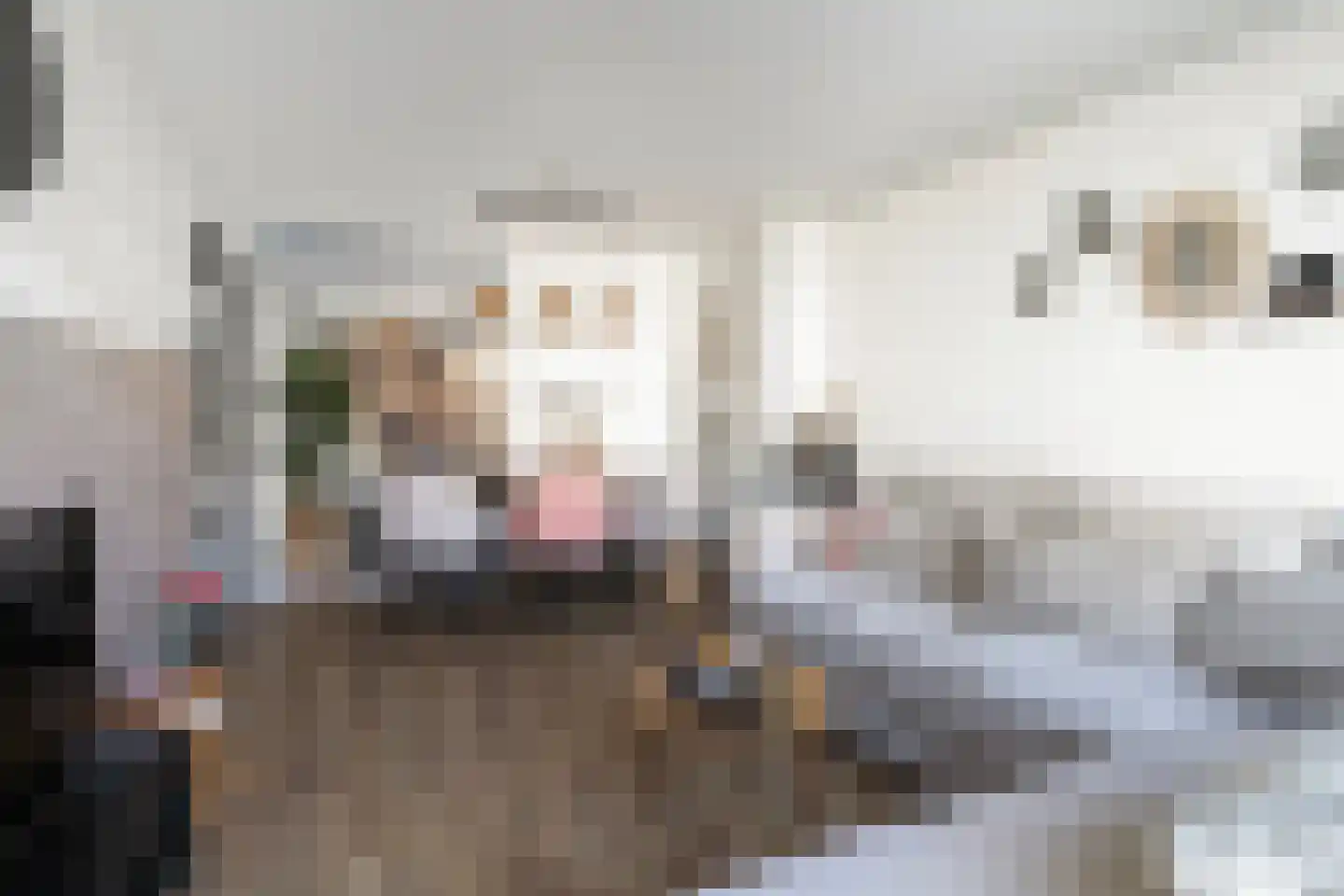 Cort van der Lindenstraat 10 Apeldoorn thumbnail 9