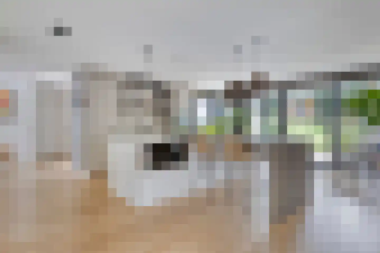 Cort van der Lindenstraat 12 Zandvoort thumbnail 18