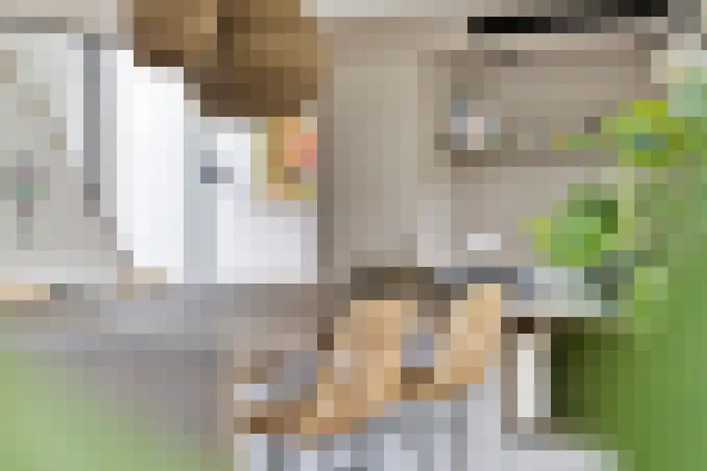 Cort van der Lindenstraat 12 Zandvoort thumbnail 19