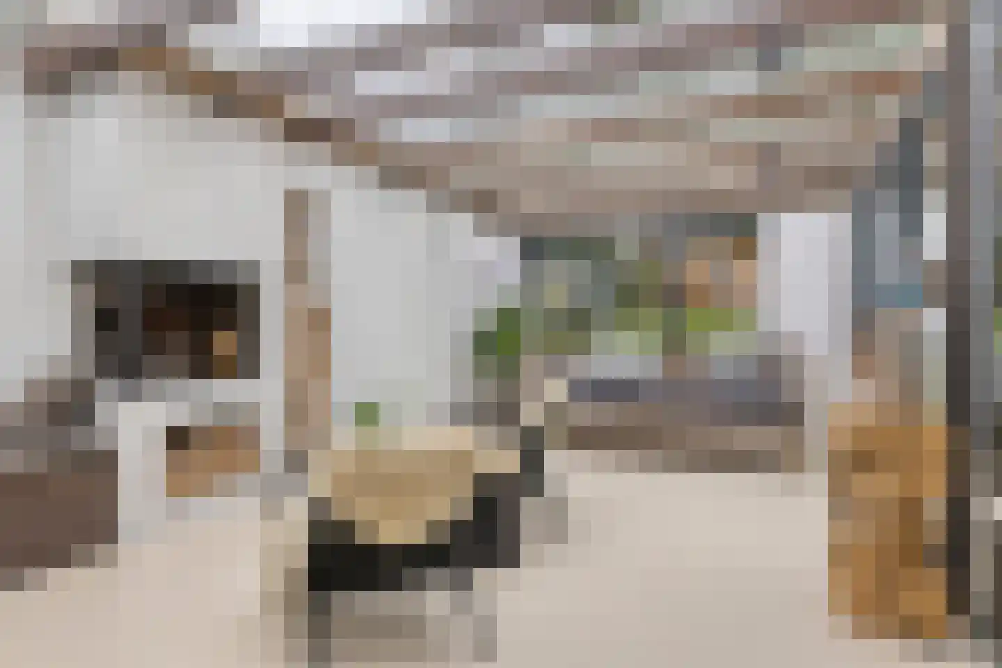 Cort van der Lindenstraat 12 Zandvoort thumbnail 28