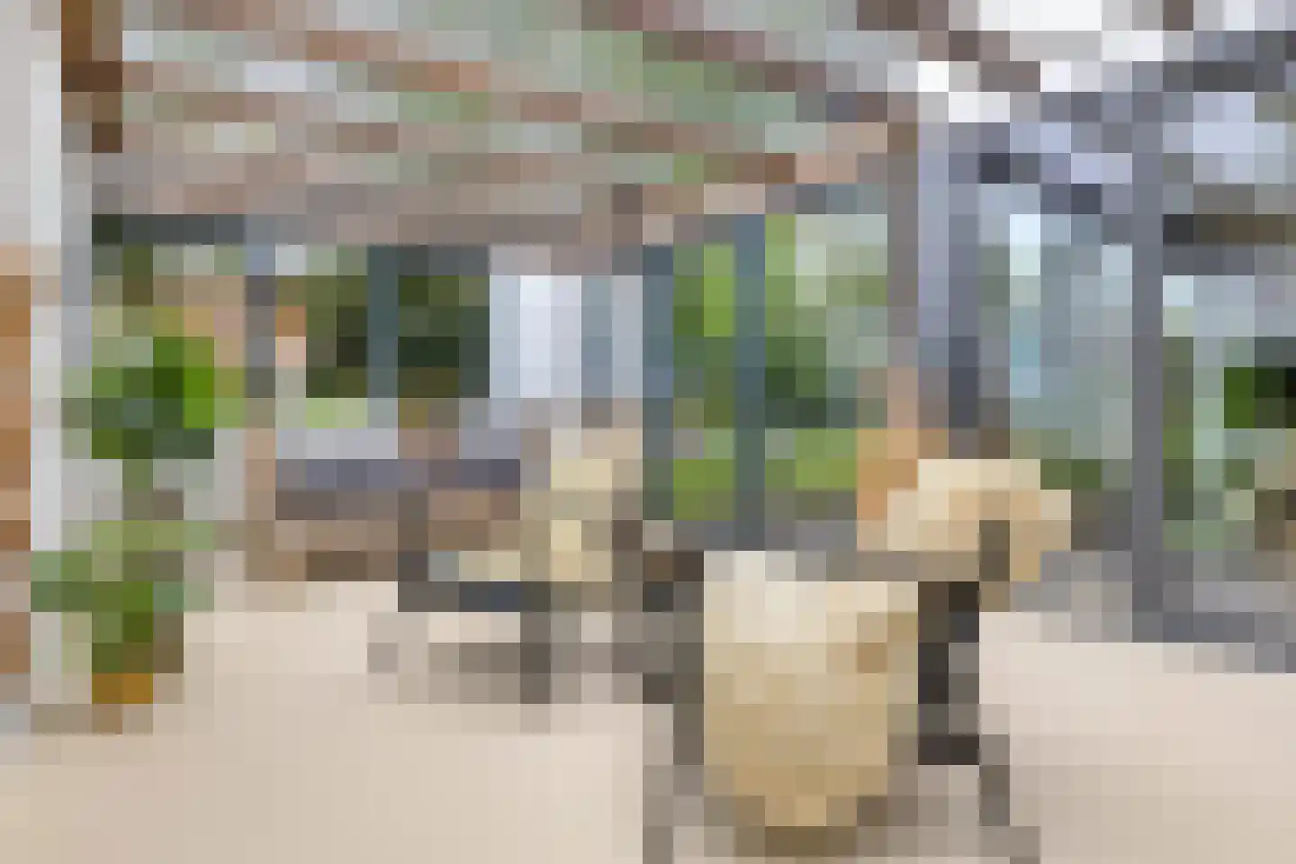 Cort van der Lindenstraat 12 Zandvoort thumbnail 29