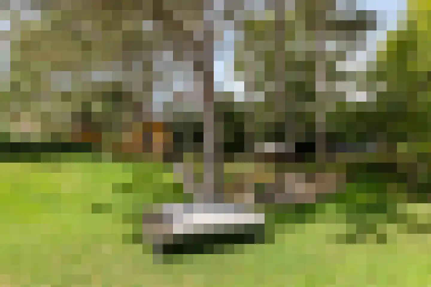 Cort van der Lindenstraat 12 Zandvoort thumbnail 32