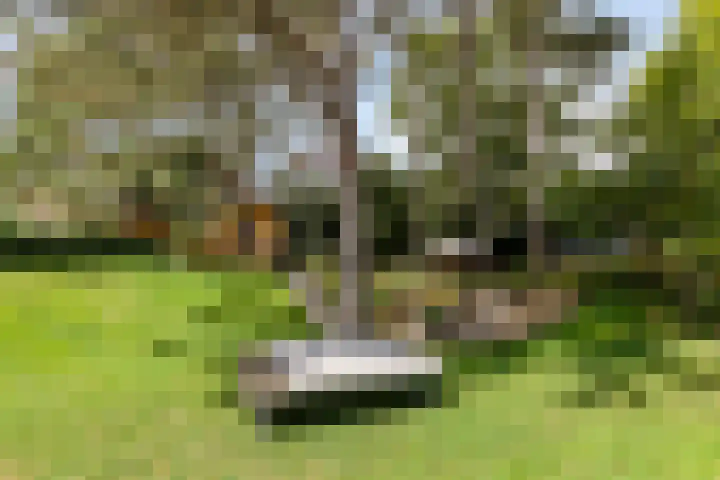 Cort van der Lindenstraat 12 Zandvoort thumbnail 35