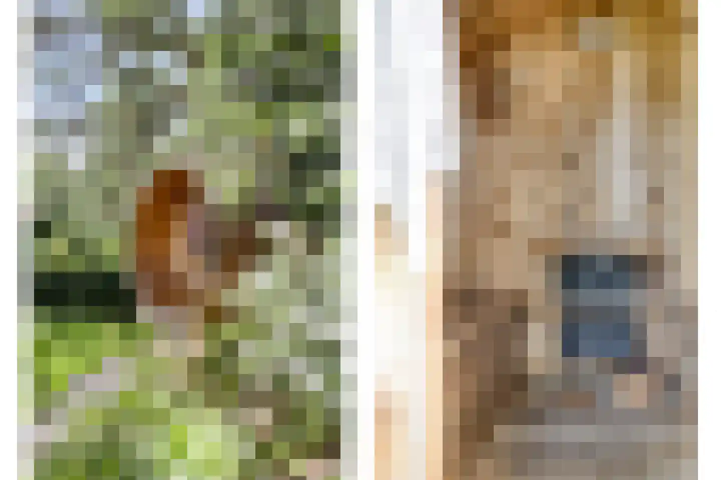 Cort van der Lindenstraat 12 Zandvoort thumbnail 4