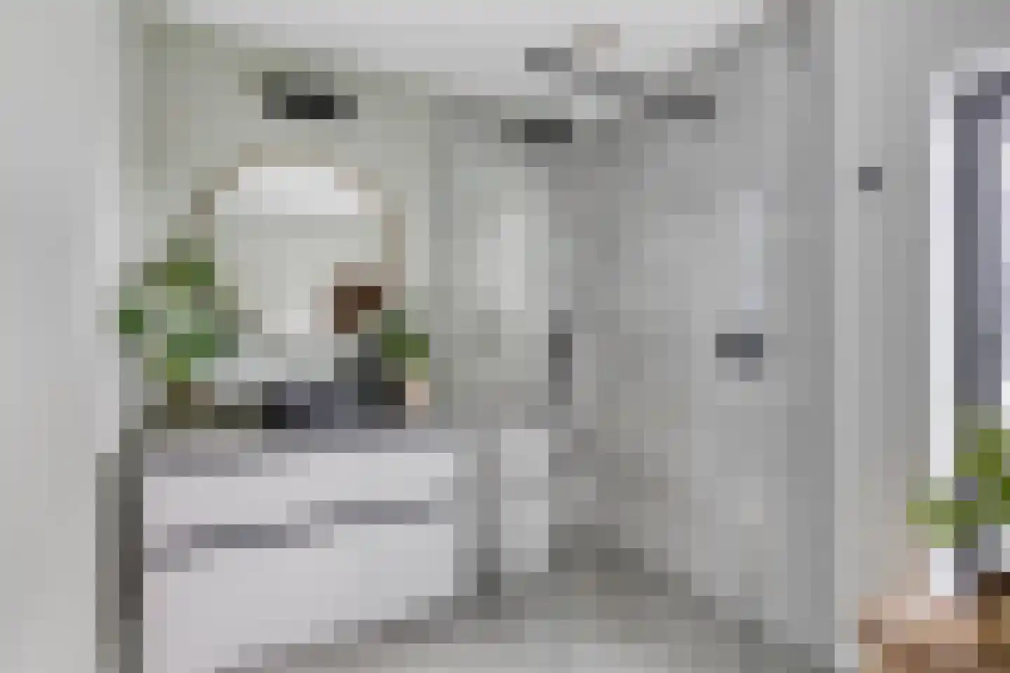 Cort van der Lindenstraat 12 Zandvoort thumbnail 50