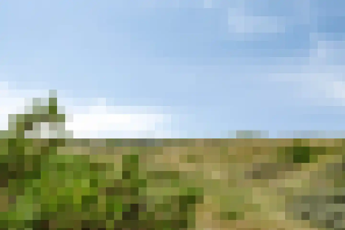 Cort van der Lindenstraat 12 Zandvoort thumbnail 58