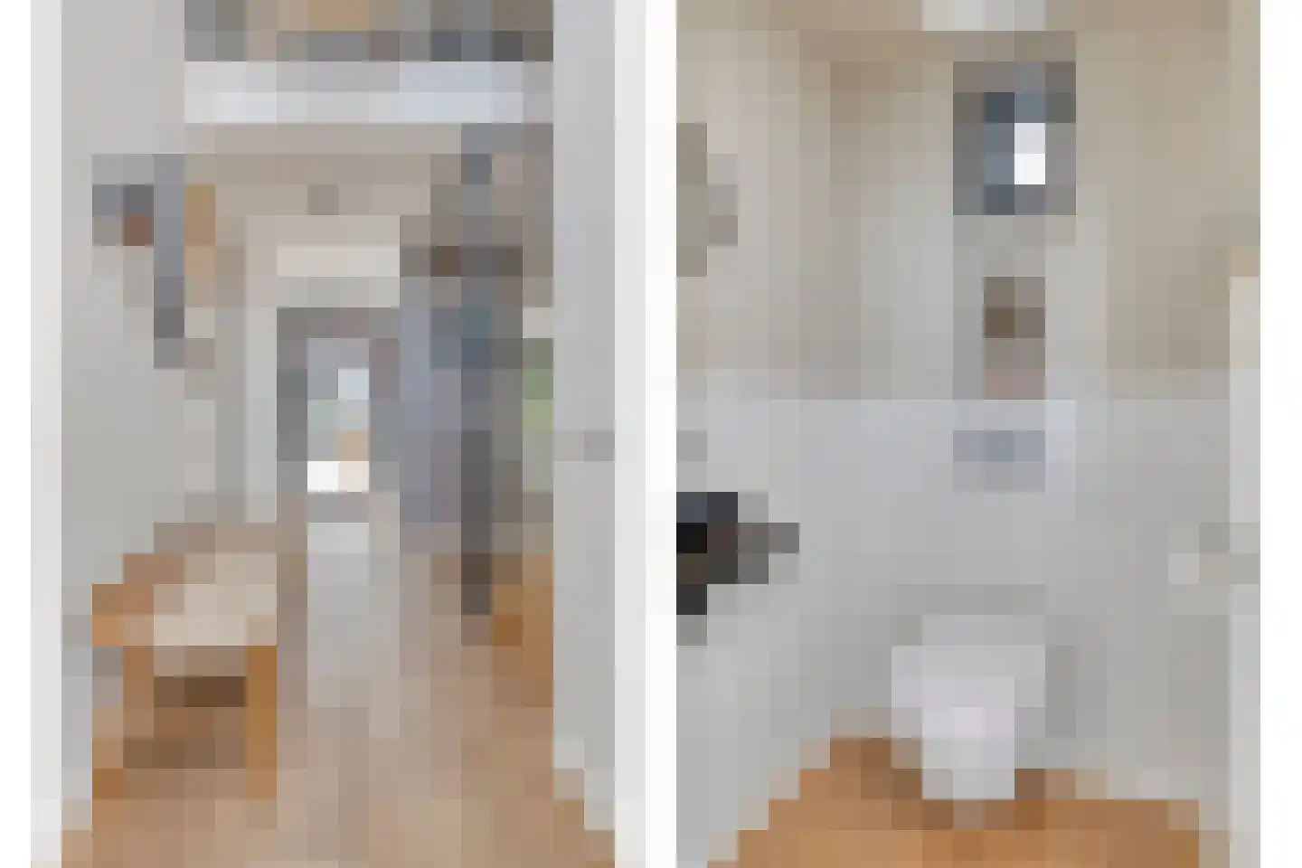 Cort van der Lindenstraat 12 Zandvoort thumbnail 6