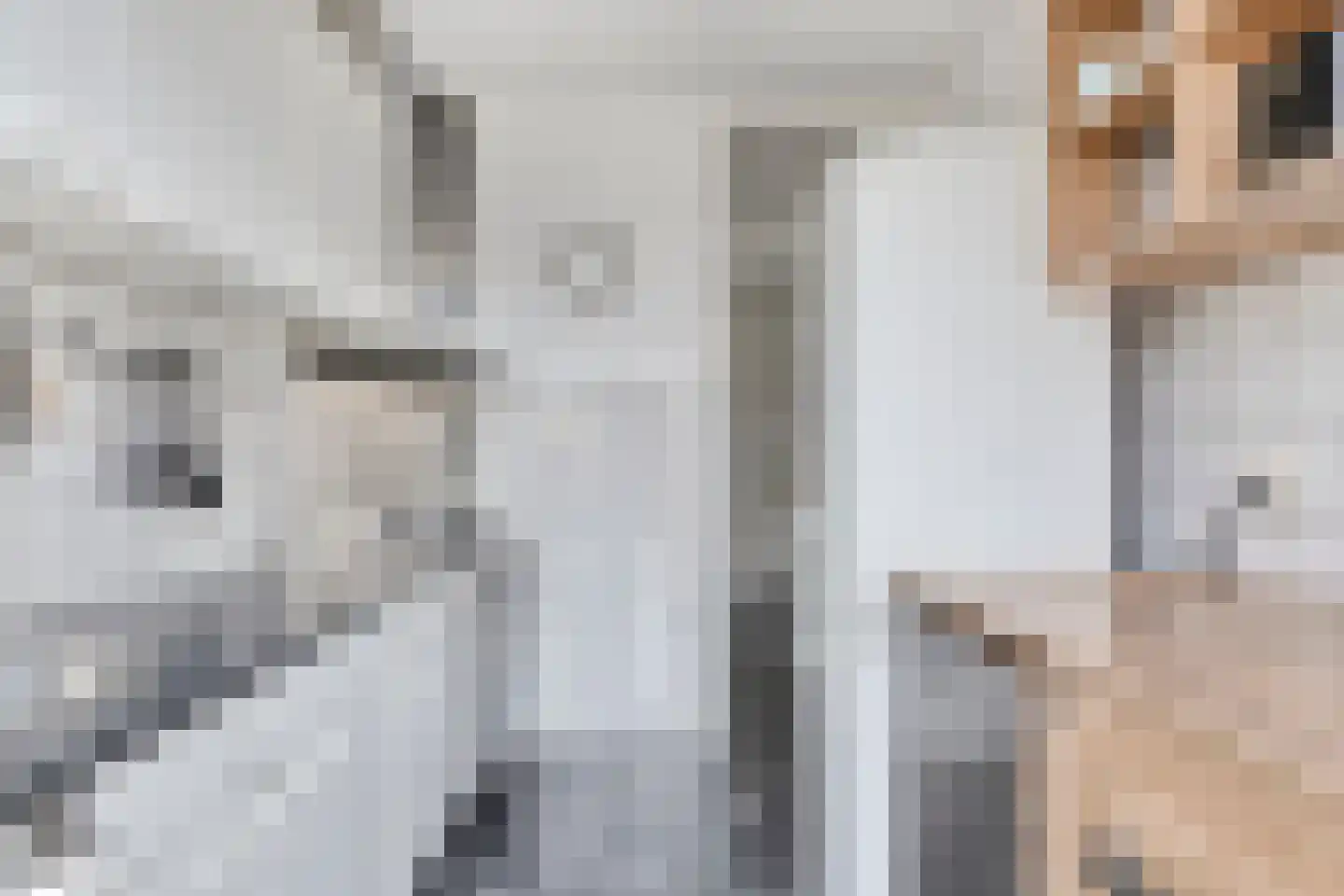 Cort van der Lindenstraat 133 Goes thumbnail 10